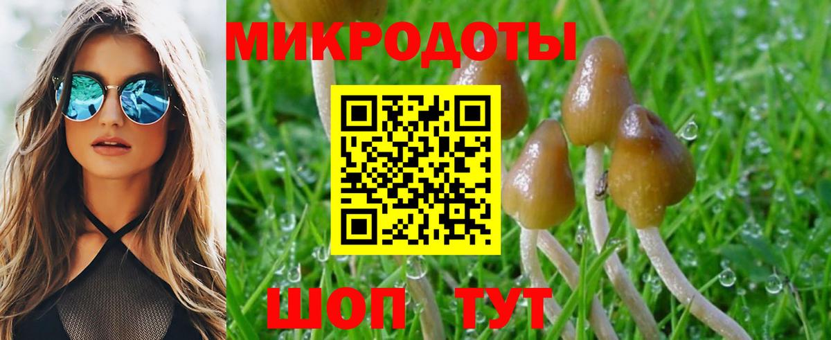 ГАШИШ Тимашёвск