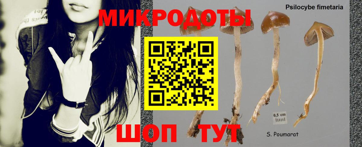 Псилоцибиновые грибы Magic Shrooms Тимашёвск